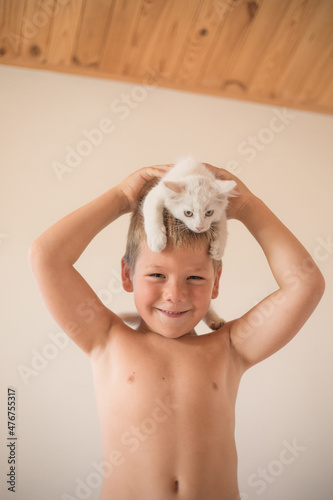 Child playing with baby cat. Boy put the kitten on his head. Little boy snuggling cute pet animal sitting on couch in sunny living room at home. Kids have fun with pets