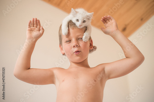 Child playing with baby cat. Boy put the kitten on his head. Little boy snuggling cute pet animal sitting on couch in sunny living room at home. Kids have fun with pets