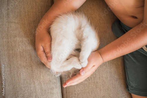 Child playing with baby cat. Kid holding white kitten. Little boy snuggling cute pet animal sitting on couch in sunny living room at home. Kids play with pets © Maria