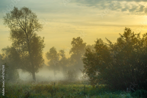 Autumn fog in the river floodplain. A meadow with a backwater at dawn in a floodplain landscape. In the autumn fog over the river, the leaves sing a farewell song to summer.