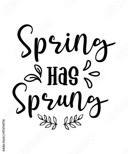Spring Bundle Svg Spring is Here Svg Welcome Spring Svg Living The Spring Life Spring Svg Hello Spring Svg Cricut Silhouette Instant Downloa