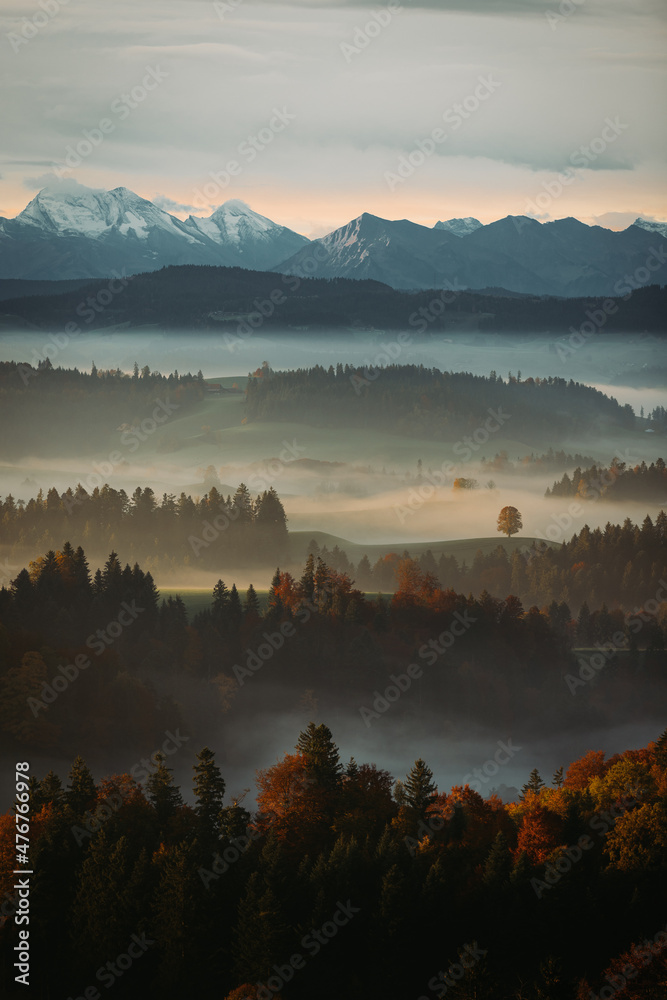 Fototapeta premium Tree on hill with Mountains