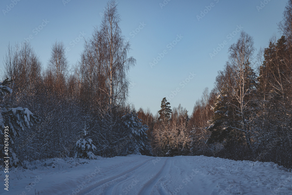 snow covered road, forest in wintertime, blue sky, sunny cold weather snow covered road, forest in wintertime, blue sky, sunny cold weather