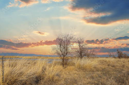 Steppe in early spring. The Eurasian Steppe, also called the Great Steppe or Steppes, is a vast steppe ecoregion from Eurasia to temperate grasslands, savannas and shrub biome