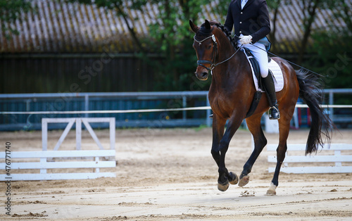 Dressage horse with rider in a gallop jump from right to left..
