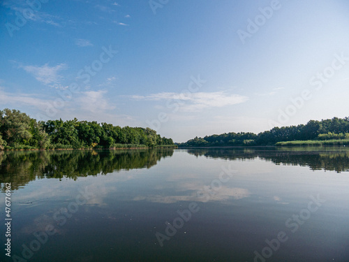 lake and forest