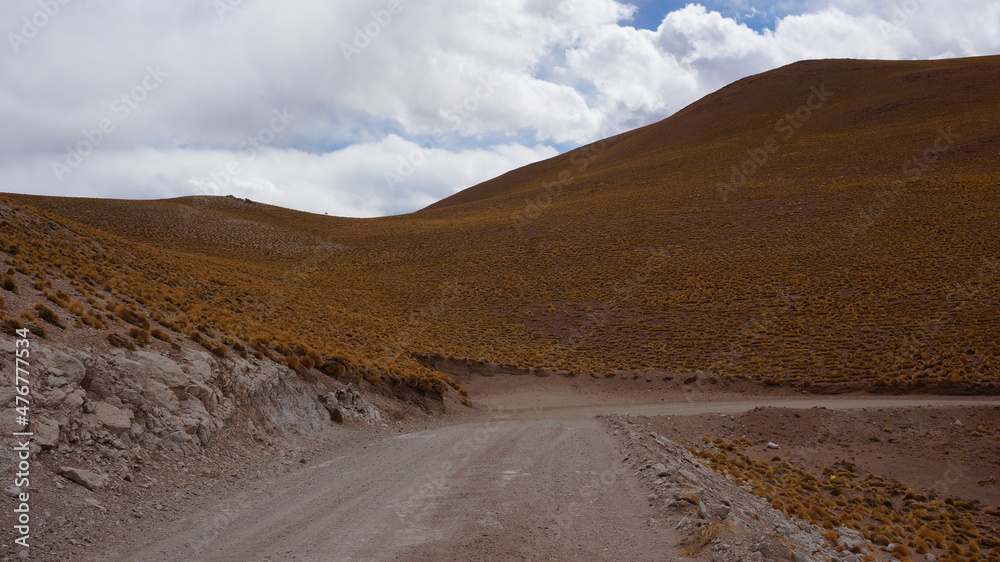 road through high altitude vicuna area road through high altitude vicuna area