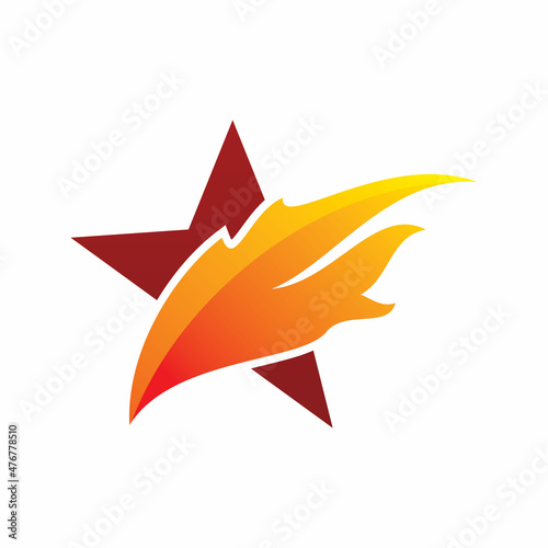 fire flame star logo design