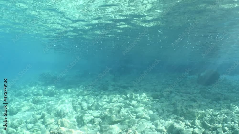 sun ray and sun beam scenery underwater waves on surface of water slow ocean scenery for backgrounds reflection on sea bottom sun ray and sun beam scenery underwater waves on surface of water slow ocean scenery for backgrounds reflection on sea bottom