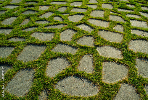 Mosaic pattern of grass and stones