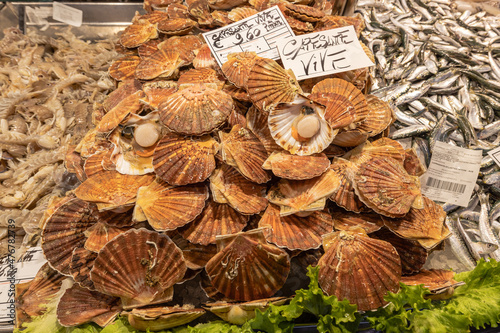 Jakobsmuscheln auf dem Rialto Fischmarkt in Venedig in Italien