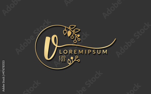 Handwritten Signature monogram Letter v calligraphic vector graphic design,usable for wedding card, personal signature, logo design concept illustration