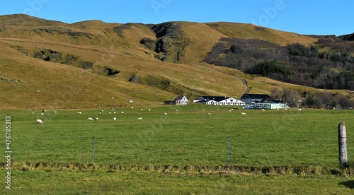 Rural Icelandic farmland