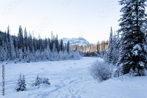 Frozen river covered in snow surrounded by fresh fallen snow on trees with mountains in background