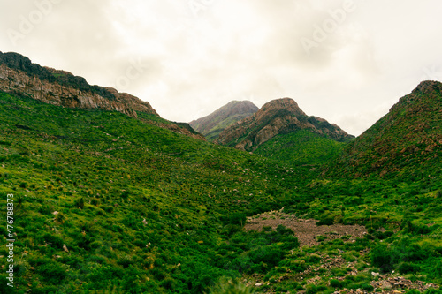 green mountain top 