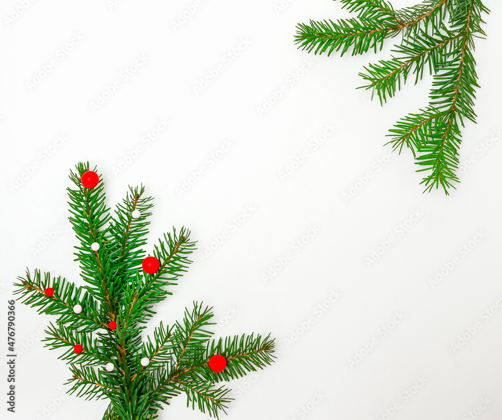 spruce branches on a white background spruce branches on a white background