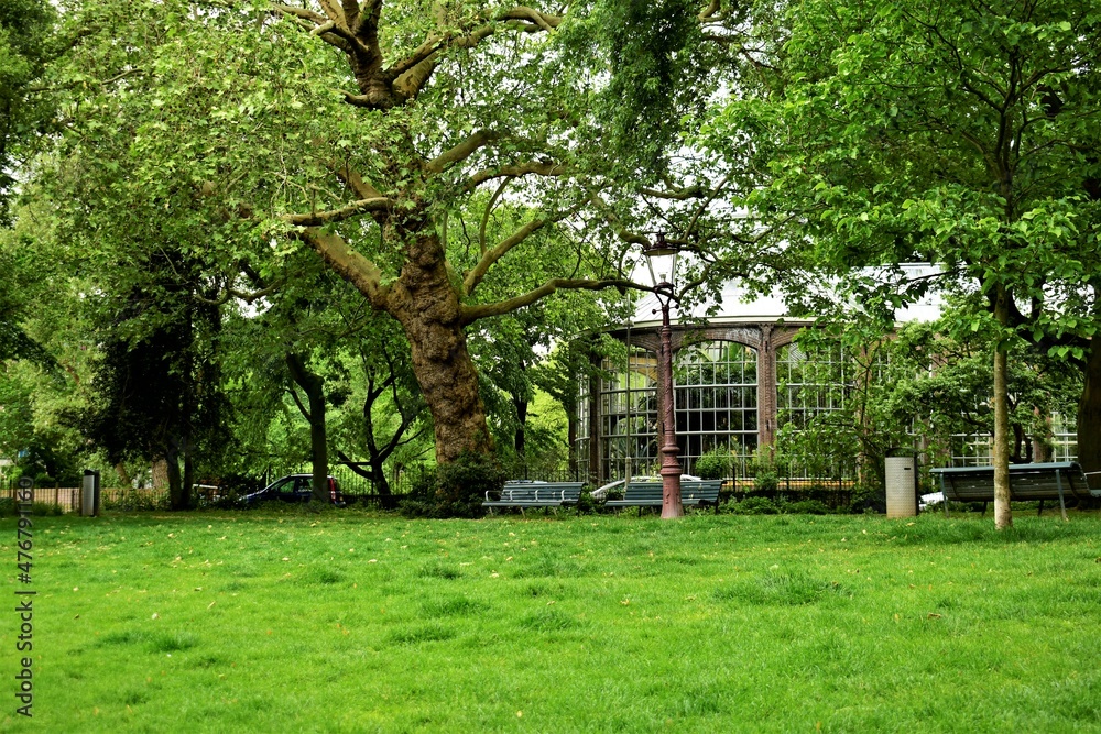 Obraz premium bench in the park