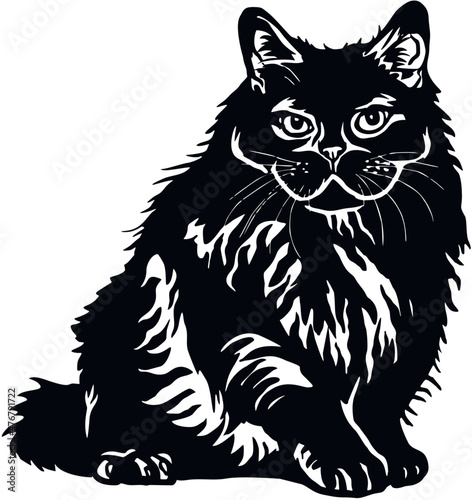 British Longhair Cat, Peeking kitten - Cheerful kitty isolated on white - vector stock illustration