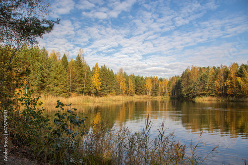 Lake in the forest in the autumn