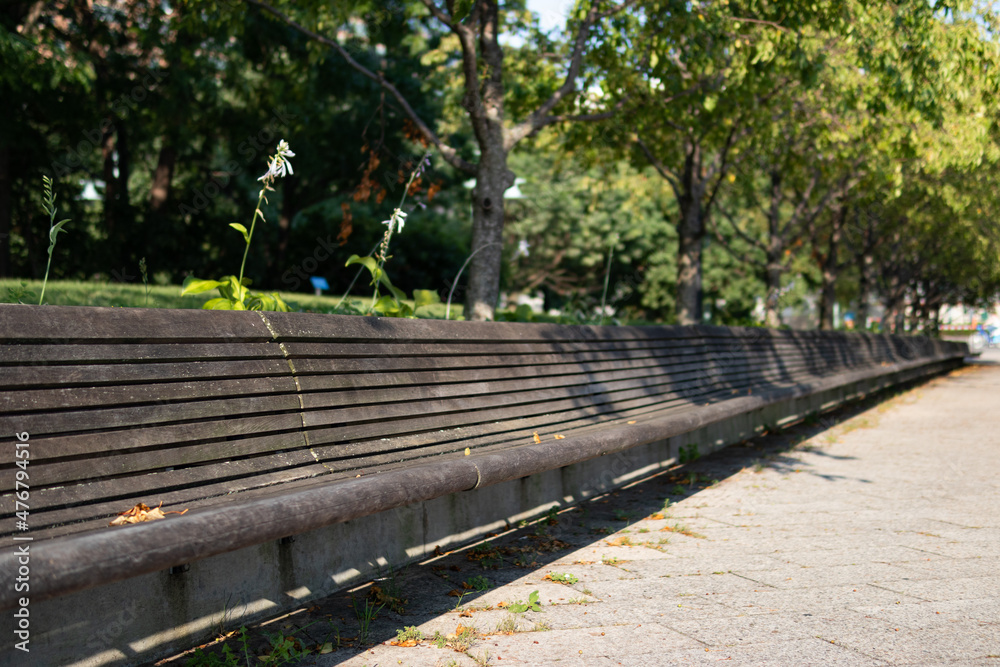 Long Empty Bench at Hudson River Park during the Summer in New York City Long Empty Bench at Hudson River Park during the Summer in New York City