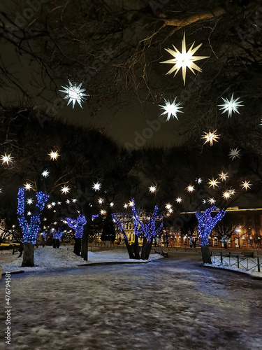 Trees in St. Isaac's Square, decorated with stars and blue garlands for Christmas and New Year.