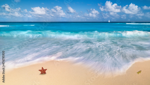 Fototapeta Naklejka Na Ścianę i Meble -  caribbean  beach with waves and star fish