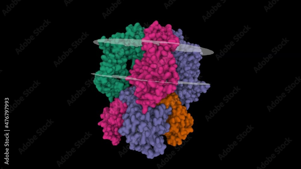 Structure of human HCN1 channel in a hyperpolarized conformation. Animated 3D Gaussian surface models, PDB 6uqf, black background Structure of human HCN1 channel in a hyperpolarized conformation. Animated 3D Gaussian surface models, PDB 6uqf, black background