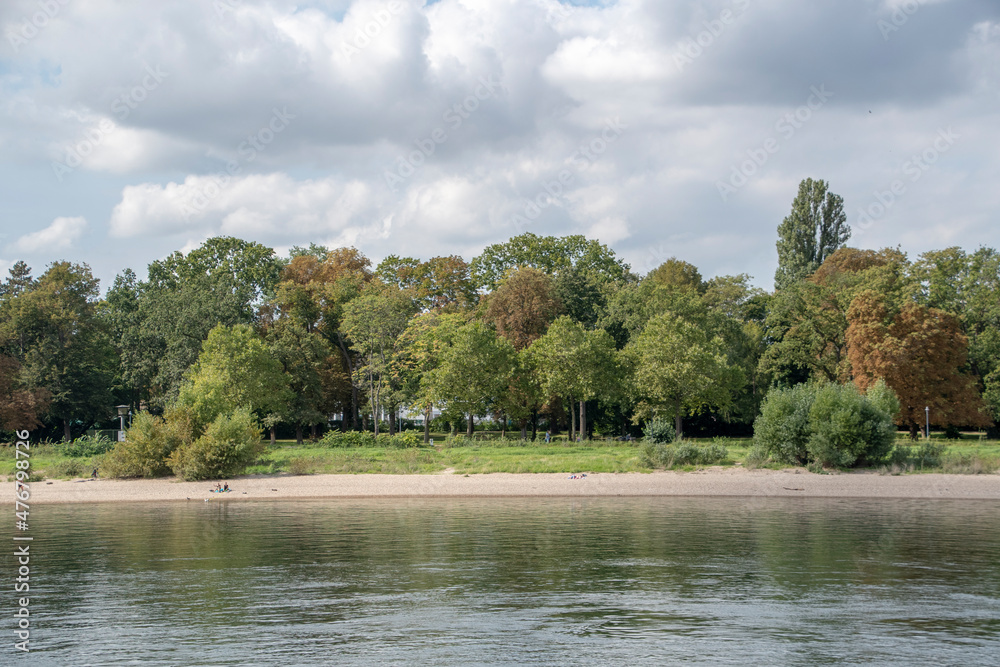 Fototapeta premium Landscape of trees along the Rhein river in Mannheim Germany