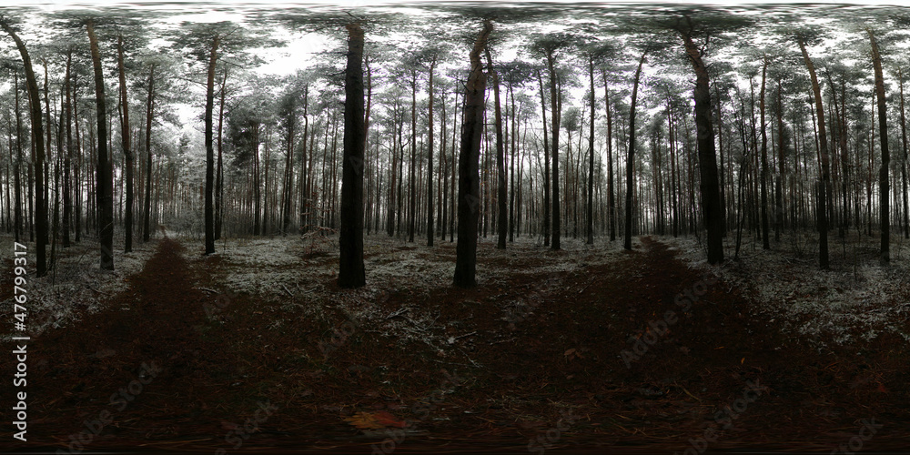 Obraz premium Winter covered with snow Forest HDRI Panorama
