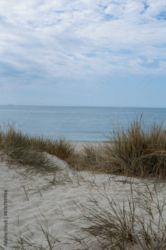 Atmosferous view of the Baltic Sea. Sandy beach of the sea. Beautiful coast Atmosferous view of the Baltic Sea. Sandy beach of the sea. Beautiful coast