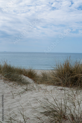 Atmosferous view of the Baltic Sea. Sandy beach of the sea. Beautiful coast