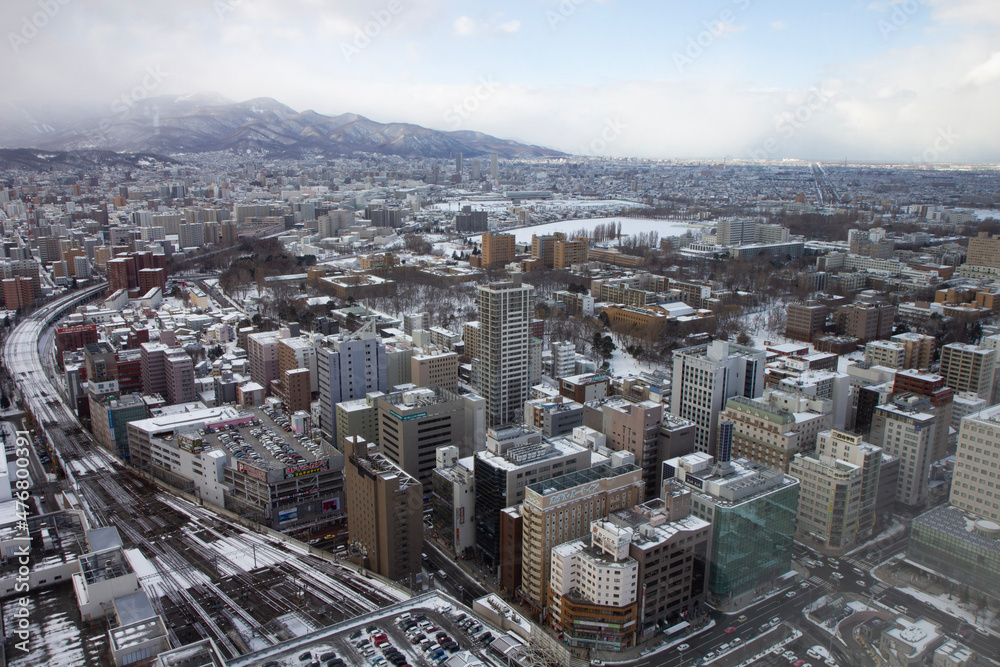 Fototapeta premium aerial view of Sapporo, Hokkaido 