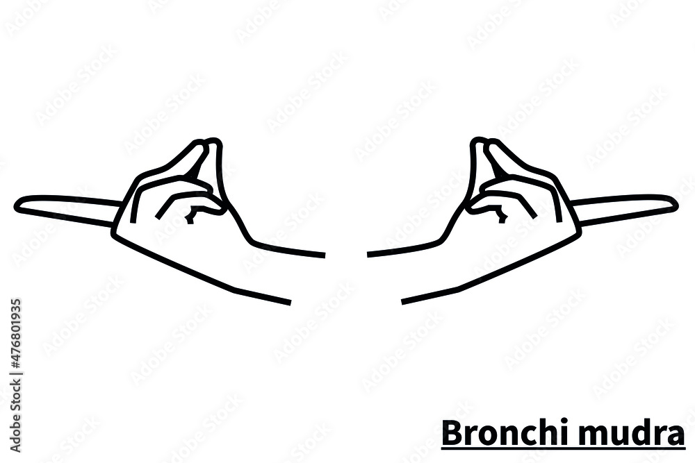 Bronchi mudra, isolated on white background. Meditation technique for health. Correct placement of the fingers. Vector Bronchi mudra, isolated on white background. Meditation technique for health. Correct placement of the fingers. Vector
