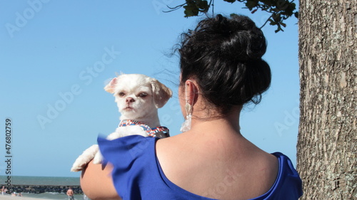 praia, por do sol, praia e sol, mar azul, mar verde, natureza, paisagem linda