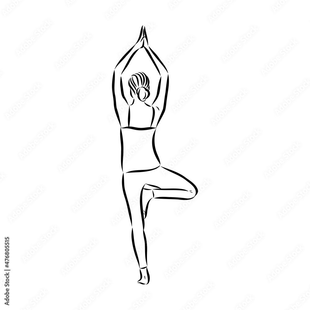 Woman doing exercise in yoga pose. Line drawing. Healthy life concept -Vector Illustration