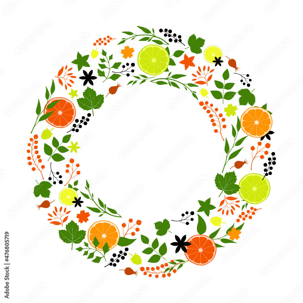 Vector round composition of leaves, berries, orange, lemon, lime, grapefruit Vector round composition of leaves, berries, orange, lemon, lime, grapefruit