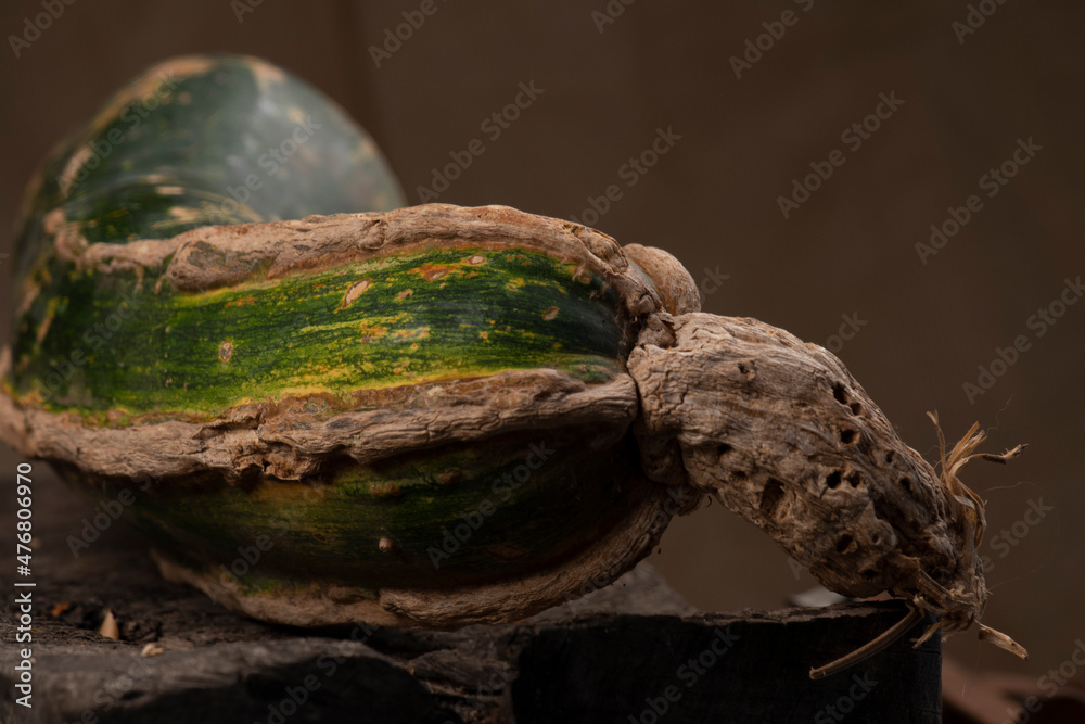 Obraz premium CALABAZA CRIOLLA ALIMENTO MEXICANO NATURAL SALUDABLE