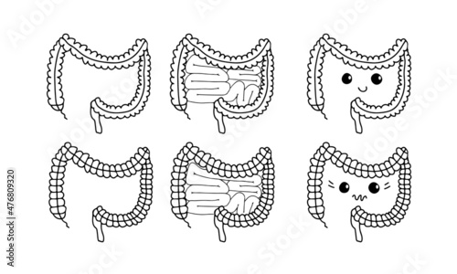 Simple gastrointestinal illustration set of bowel internal system. Healthy gut concept. Human body parts in vector. For probiotics or gastroenterologist field.