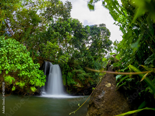 Long exposure view of a waterfall hidden in a forest located in the north of Mauritius island