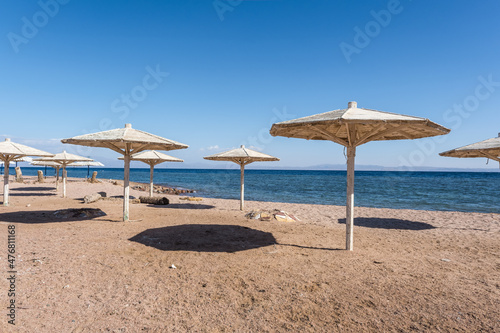 Fototapeta Naklejka Na Ścianę i Meble -  wooden beach umbrellas and sun loungers by the red sea in bright sunny day