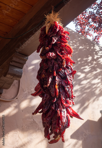 Low Angle View of a Red Chile Ristra with an Tree with Red Leaves in the Background photo