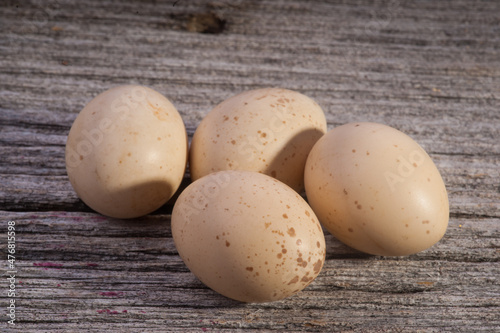 Ruffed Grouse Eggs - Texture and Pattern - Wildlife Sign