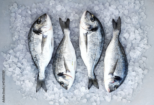 Sea bream fish from market, fresh fish on ice, seafood diet cooking background