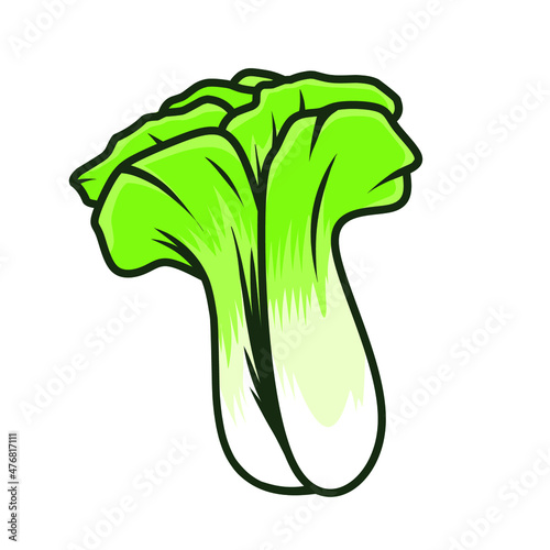 bok choy vegetable vector design