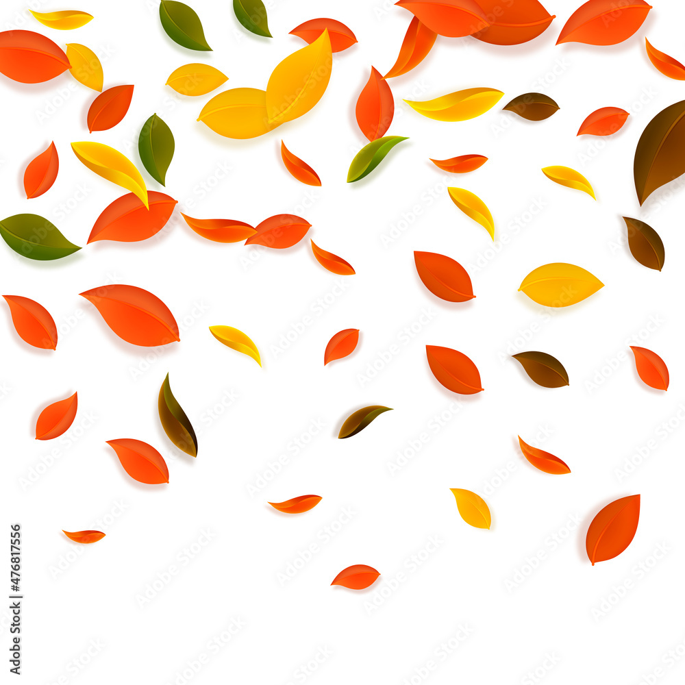 Falling autumn leaves. Red, yellow, green, brown c