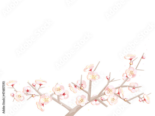 梅の花のフレーム