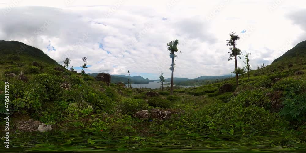 Green Tea estate landscape with lake in Sri Lanka, Maskeliya. 360 panorama VR Green Tea estate landscape with lake in Sri Lanka, Maskeliya. 360 panorama VR