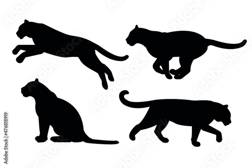 Vector set of hand drawn flat tigers silhouette isolated on white background