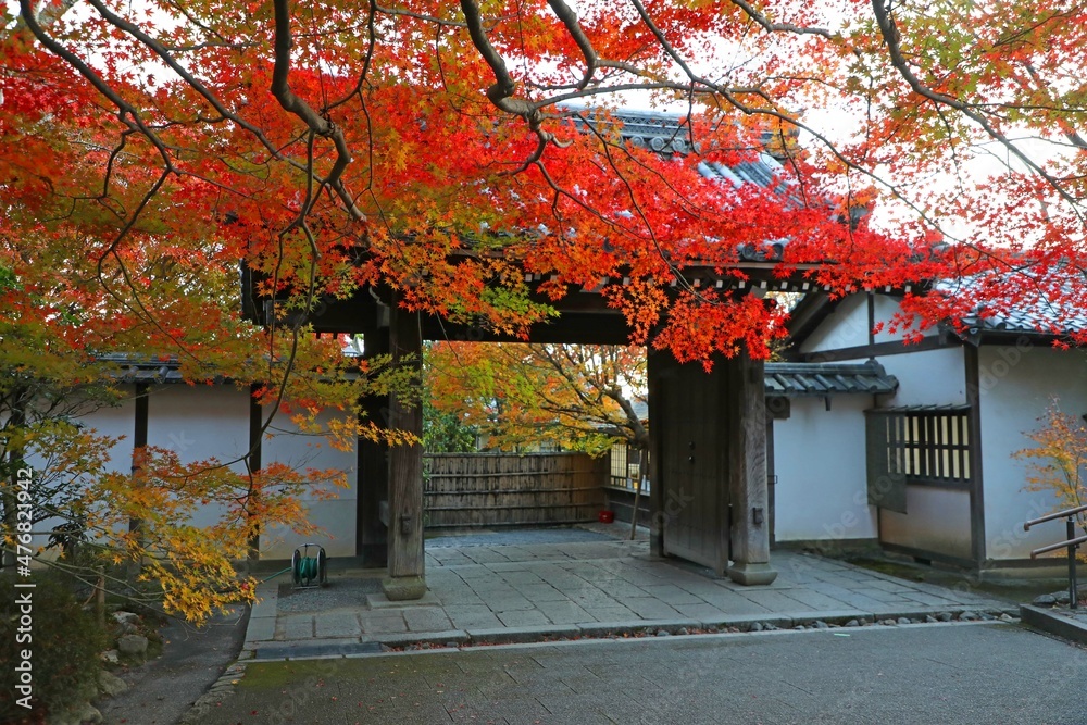 Naklejka premium 龍安寺の山門