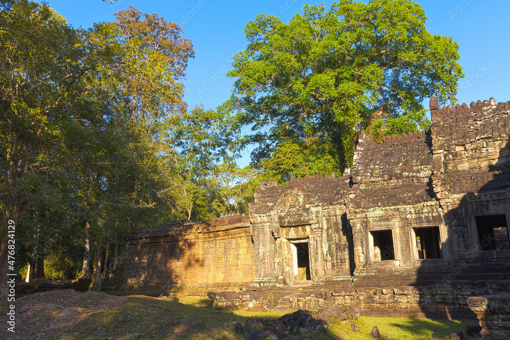 Ruins of Ta Prohm temple in Angkor complex, overgrown by trees, Cambodia